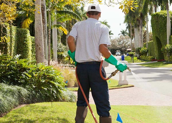 About Long Creek OR Pest Control Pros